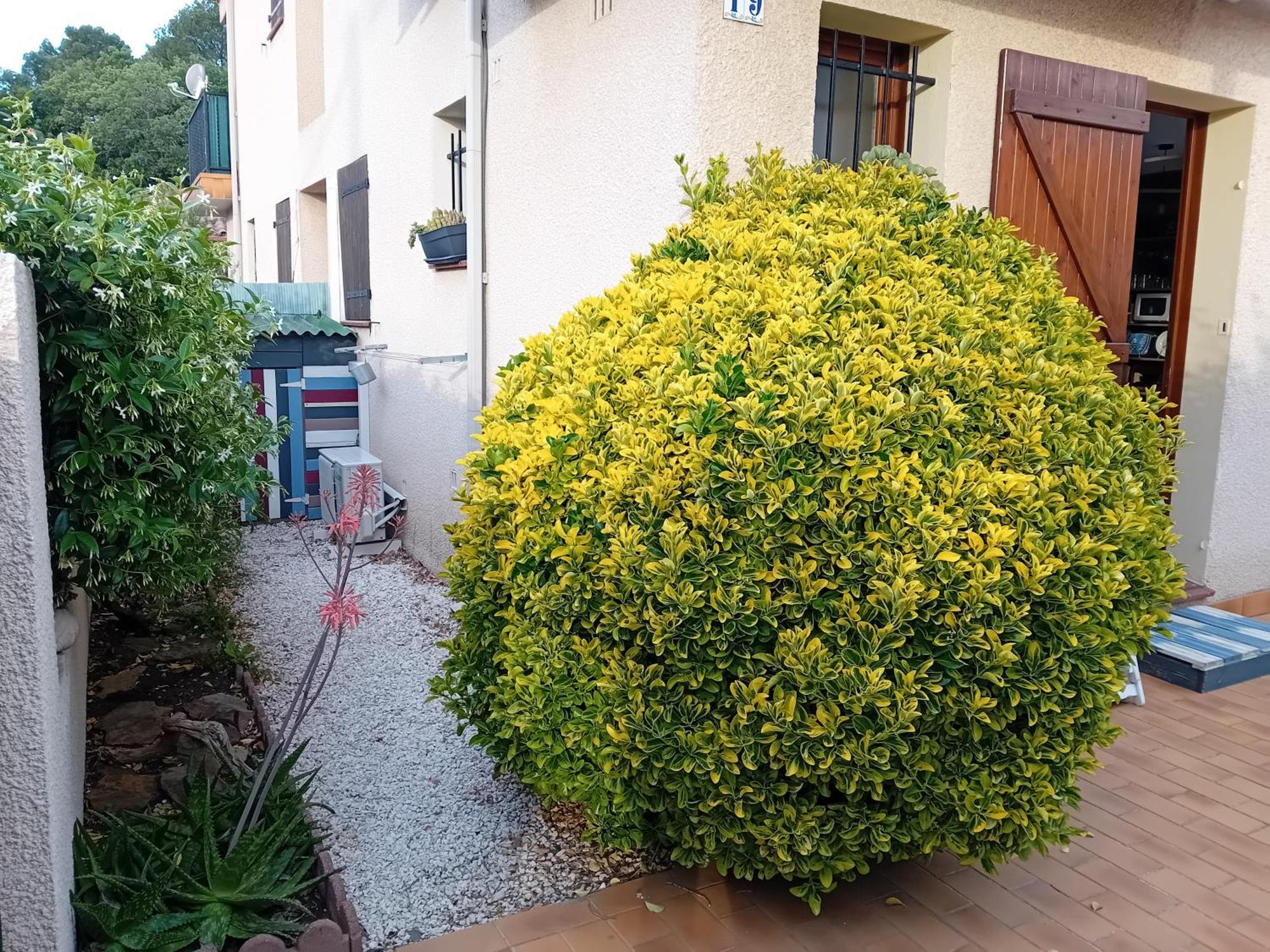 Le Racou Holiday home Argeles-sur-Mer